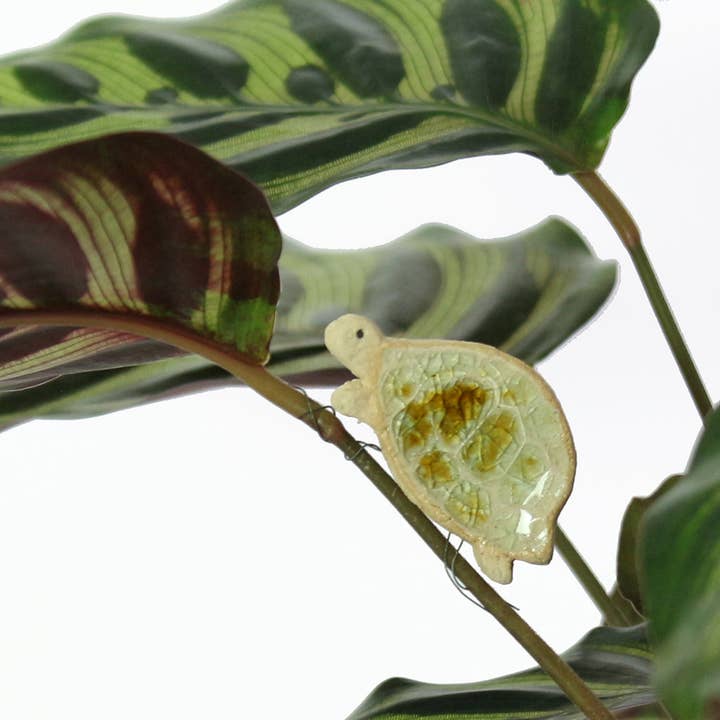 Habulous - Wholesale Ornament - Timothy Tortoise Plant Hugger Decoration