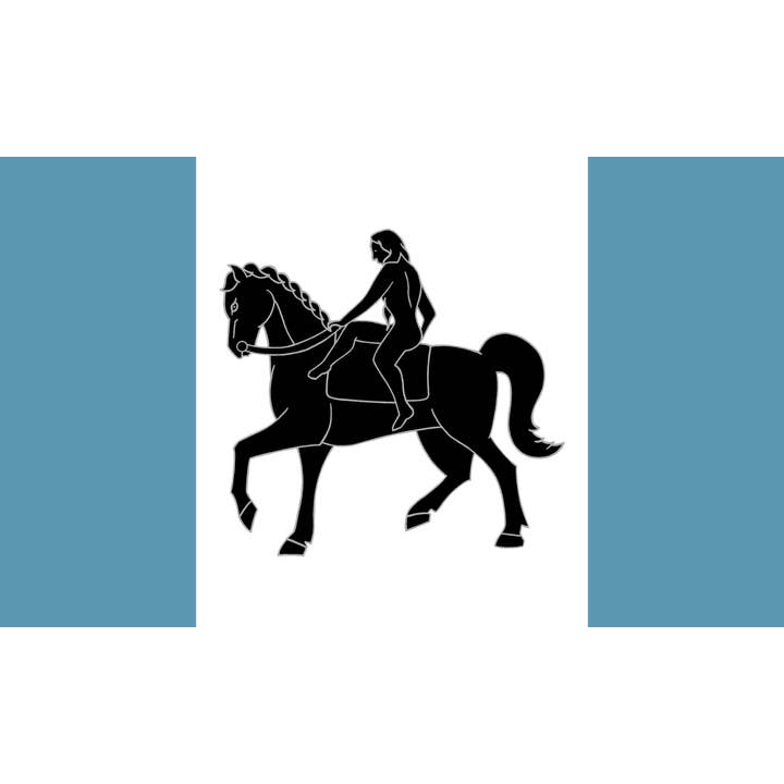 Coventry 5'x3' voor wholesale door Worldwide Flags Ltd