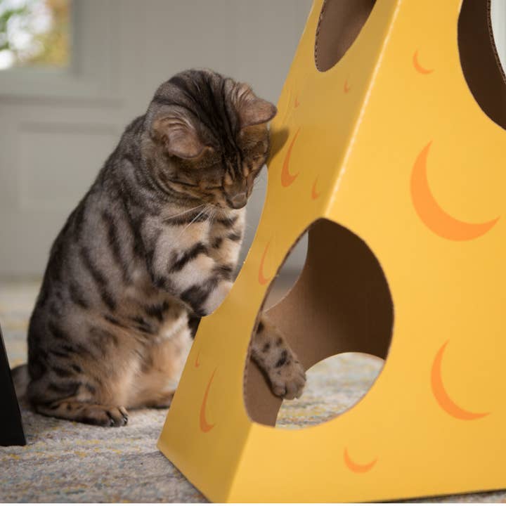 Cat in the Box LLC – wholesale Pet toy – Cat – Monster Cheese Wedge - Cardboard Box Playhouse For Cats