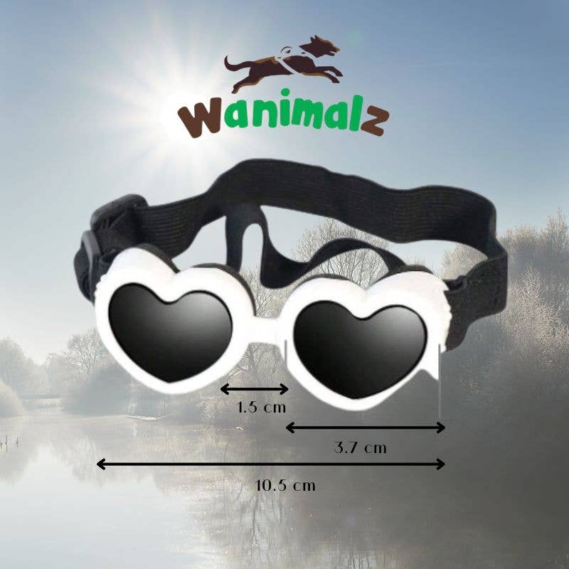 Wanimalz - Wholesale  - Dog glasses | SUNDOG range7
