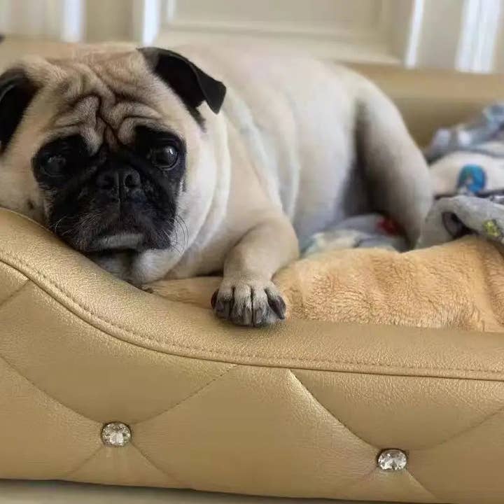 Le Lit de Confort en Cristal - Maison de Luxe pour Chiens avec Cristaux pour la vente par The Fashioned Label