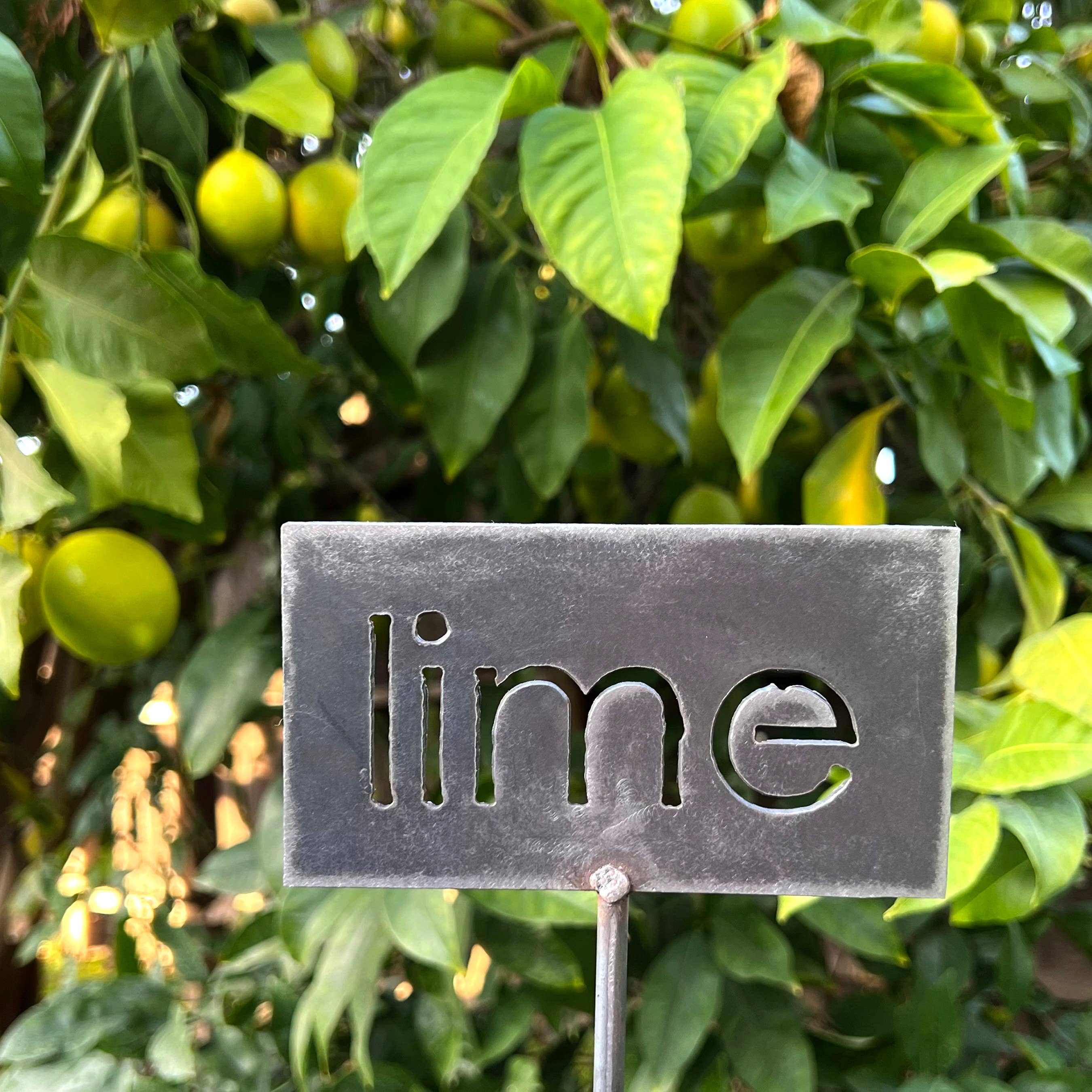 garden label stakes for wholesale by Free House