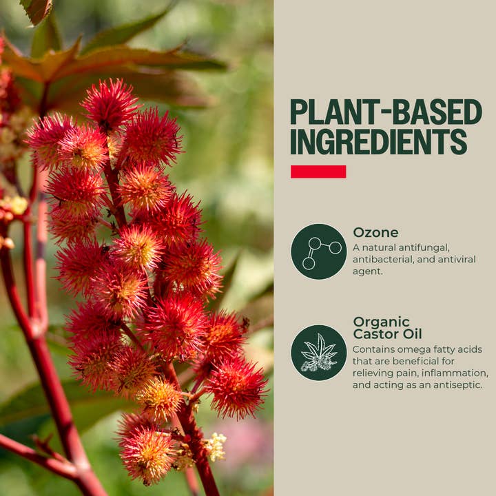 PurO3 - Wholesale Bath/Body Oil - PurO3 Ozonated Castor Oil2