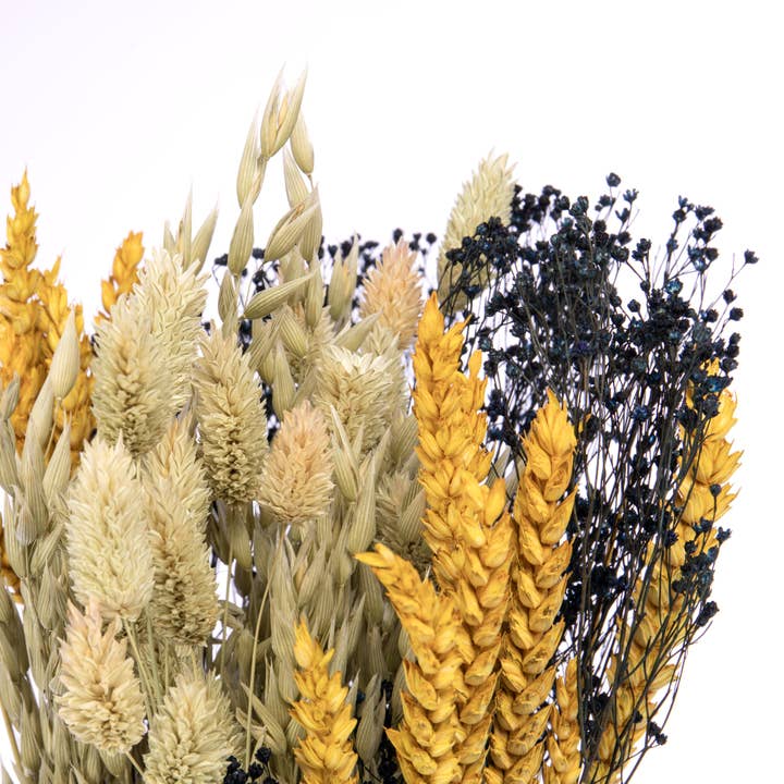 Willow Group - Wholesale Dried/Pressed Flowers - Alba Smart Bouquet 50cm4