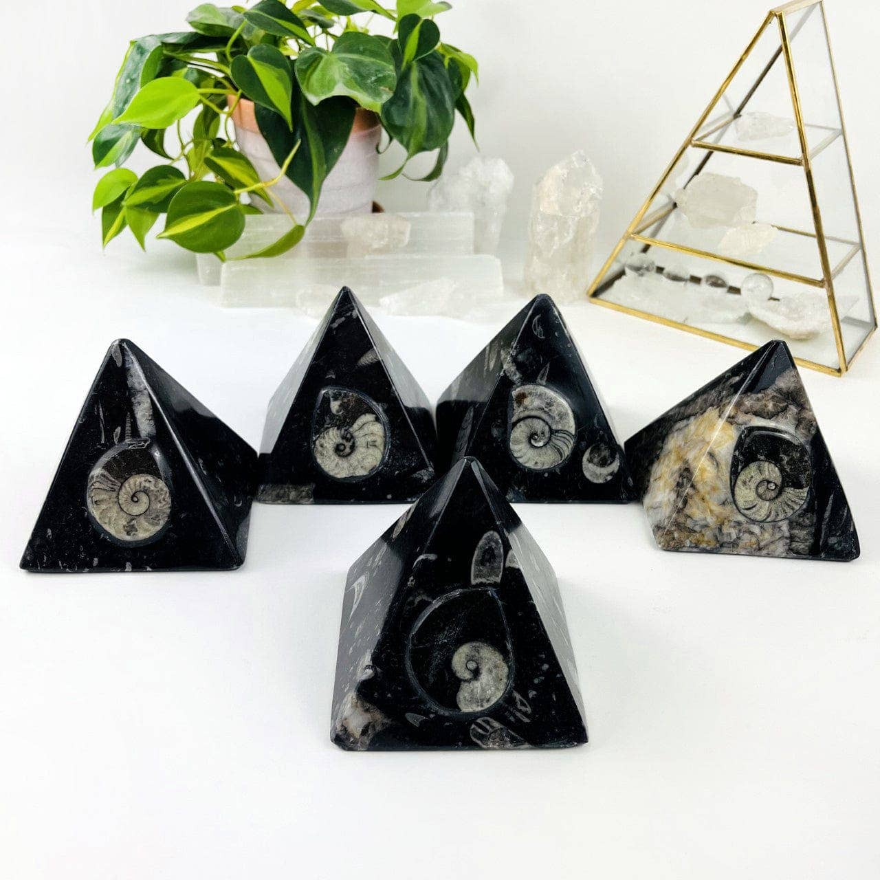 Rock Paradise – wholesale Decorative tabletop object – Ammonite and Orthoceras Fossil Pyramid3