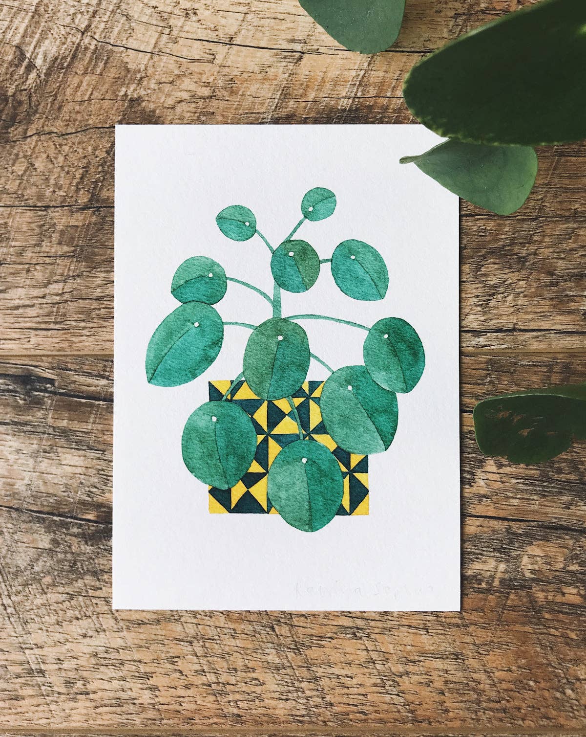 Katrina Sophia - Wholesale Art Print - Chinese Money Plant A5 Print1