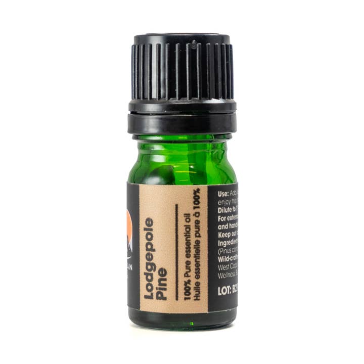 Óleo essencial de pinho Lodgepole - 5ml por atacado de Coast Mountain Essential Oils