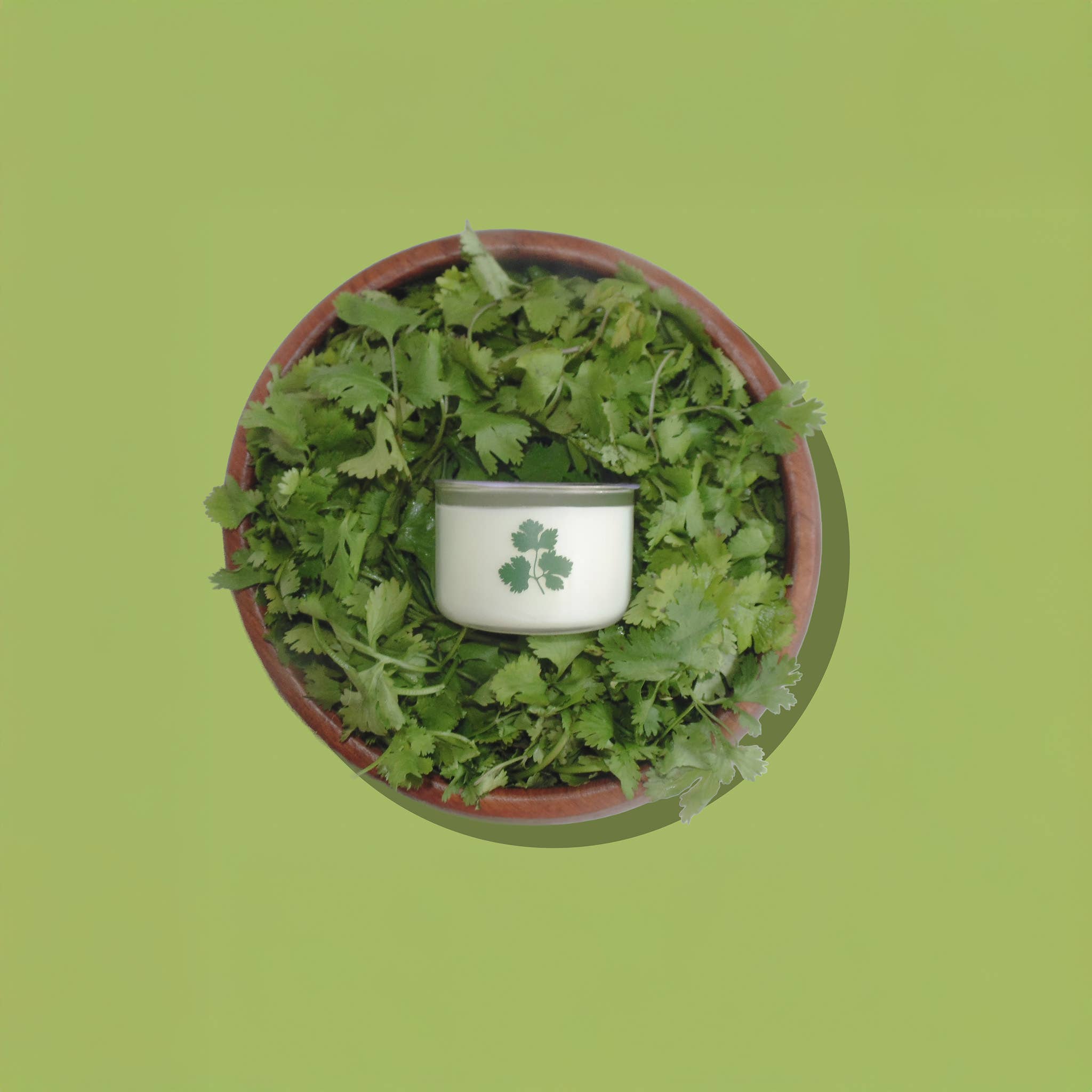 Fresa Creative - Wholesale Jar/Filled Candle - Cilantro Herb / Mini Candle / Latina + Midwest Inspired1