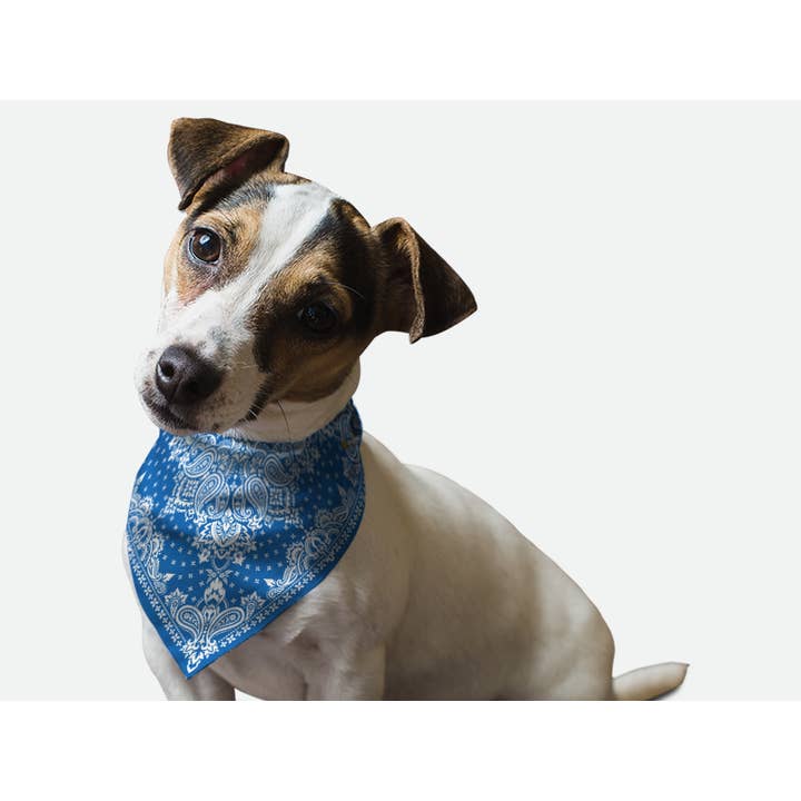 Bandoggies Breeze Pet Bandana - små blå Paisley för wholesale av Bandoggies
