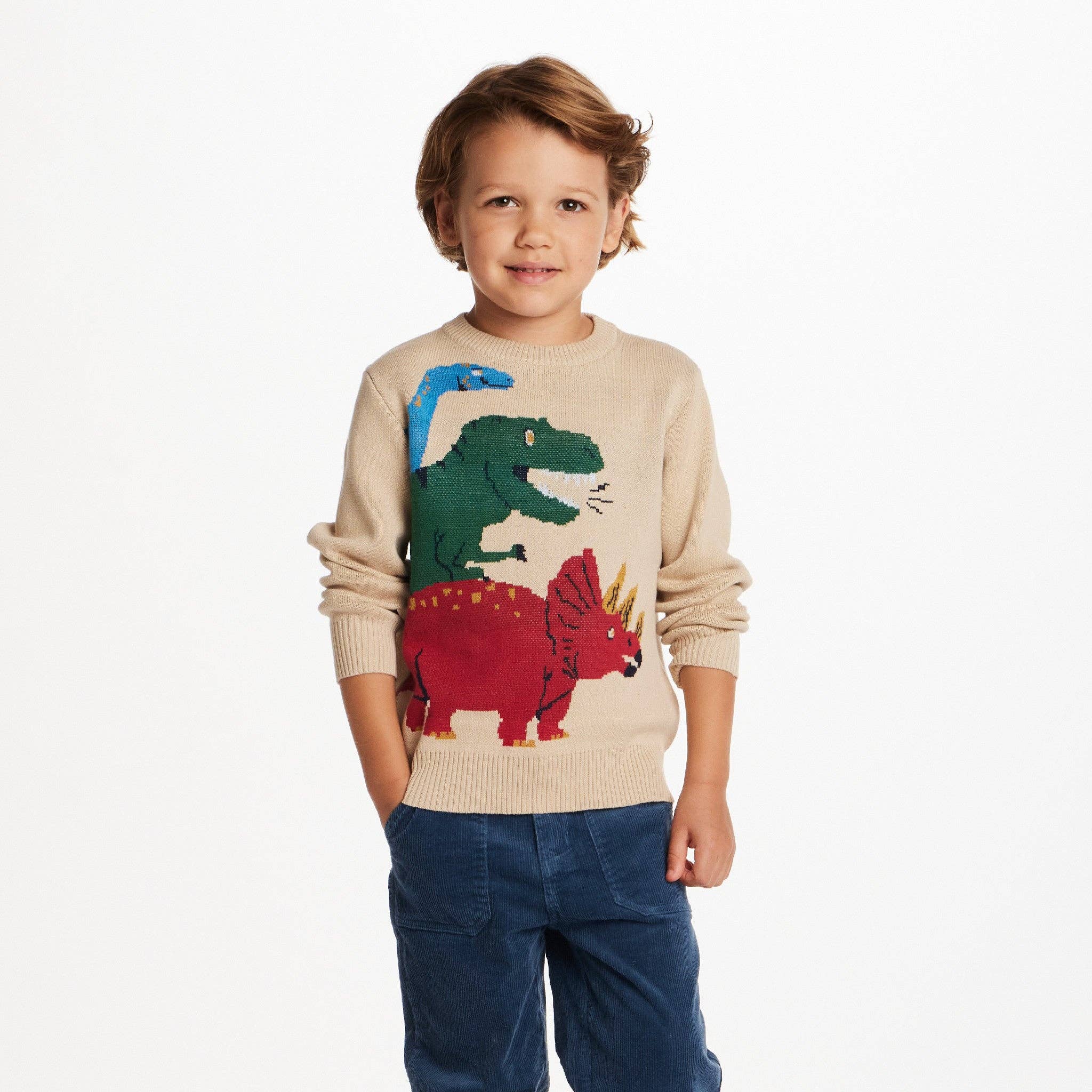 Beige Kids Graphic Sweater | Triple Dino for wholesale on Faire1