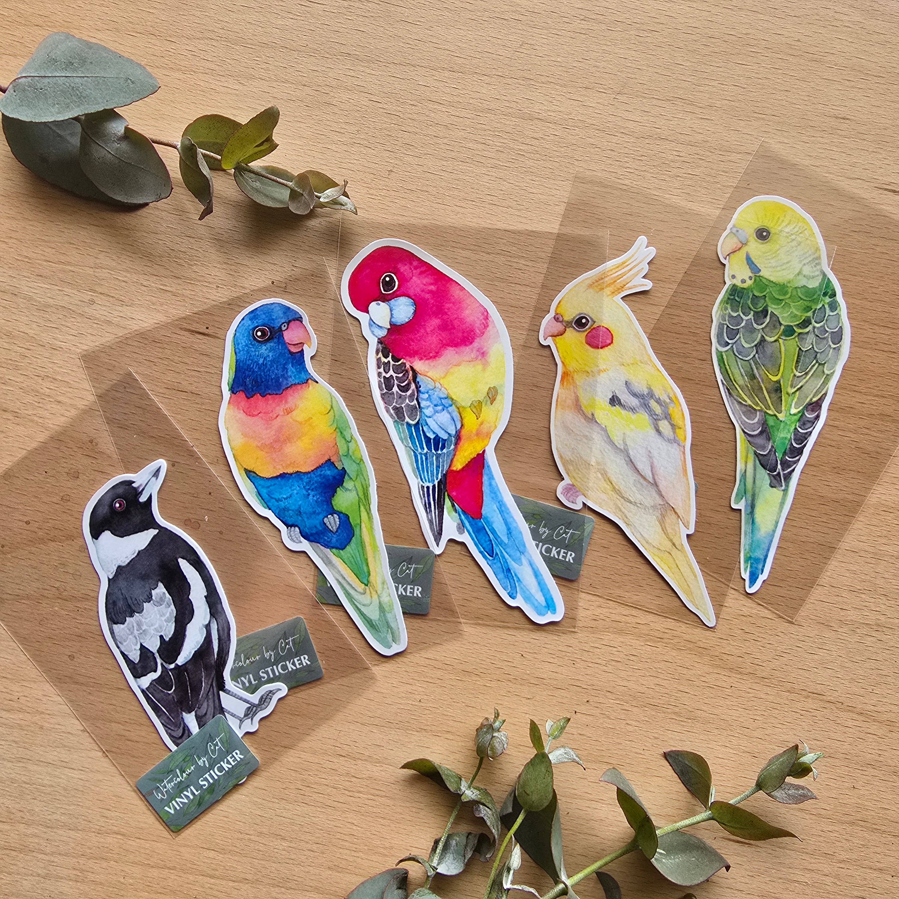 Watercolour By Cat – wholesale Klistermärke – Stor australiensisk fågel vinylklistermärke29