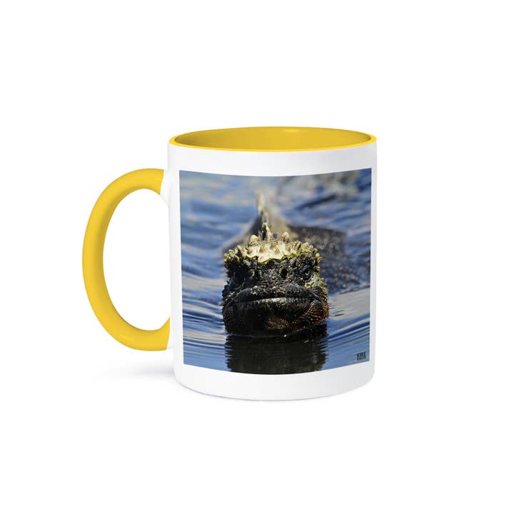 3dRose - Wholesale Coffee Mug - 3dRose, Marine iguana,Amblyrhynchus cristatus,at Punta Espinosa Fernandina Island Galapagos, Mug