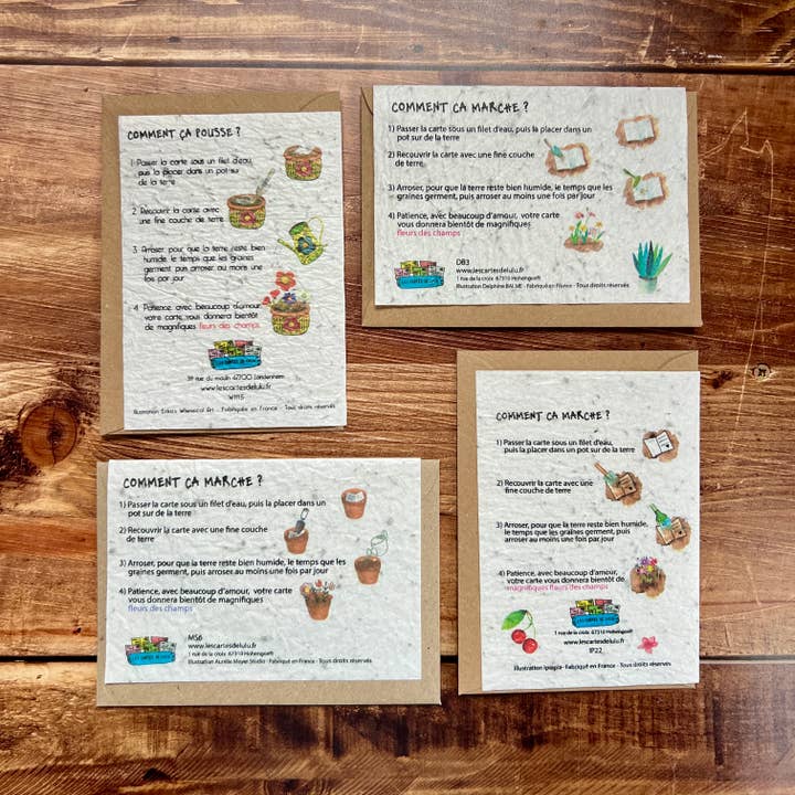 Les cartes de Lulu – Cartão de saudação diária por atacado – Cartão adulto com inocultação neutro - (designs 3x8)3