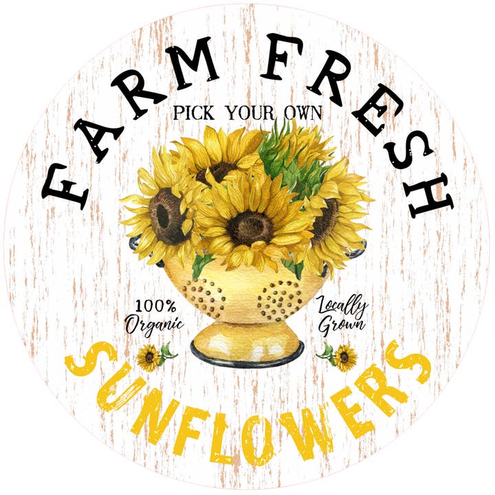 AL Fresh Sunflowers for wholesale by Andreas