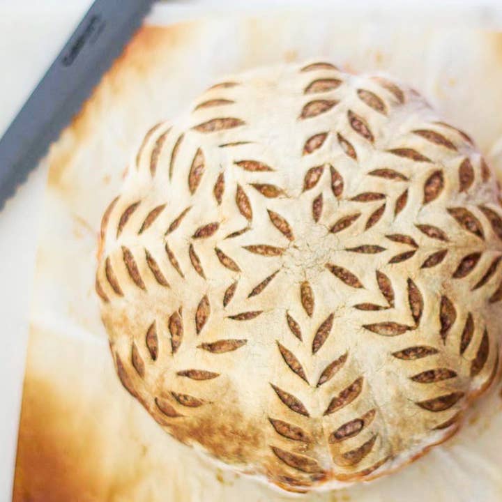 My Rustic Roots - Wholesale Bread Mix - Sourdough Starter | Freeze Dried | San Francisco Style 12gm