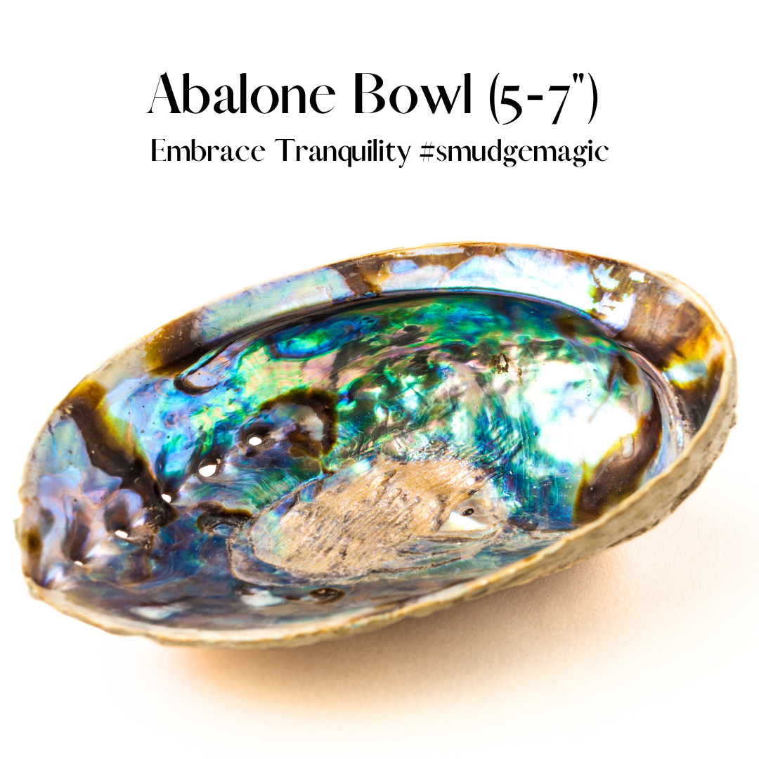 Third Eye Sage - Wholesale Smudge Plate - 🐚✨Abalone Smudge Bowl (Large 5–7 Inch) – Sacred, Stylish, and Spiritually Powerful 🌿🌊0
