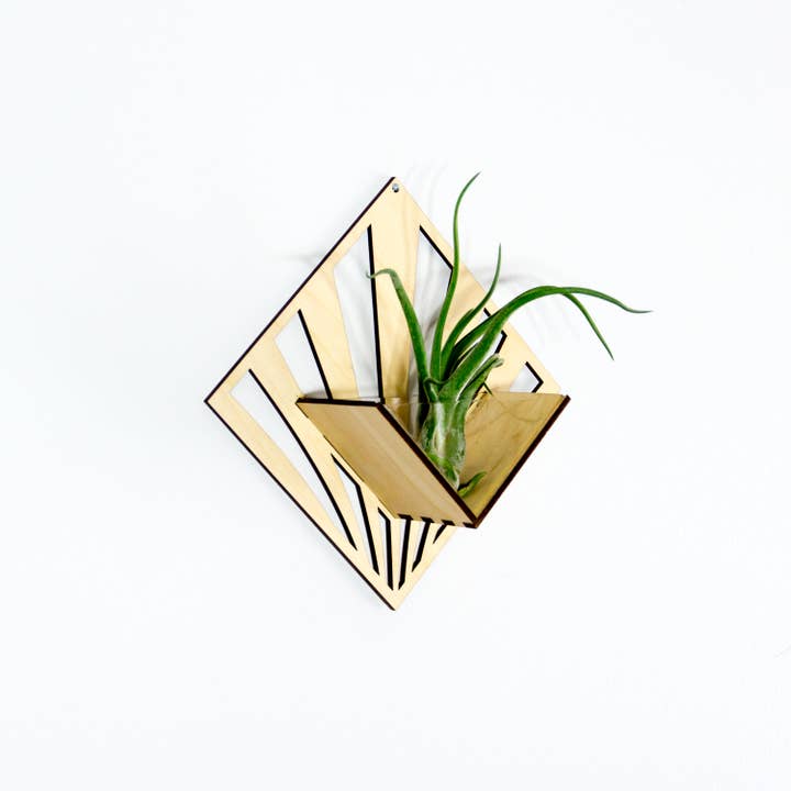 LIGHT RAZOR DESIGN STUDIO - Wholesale Wall planter - Air Plant Holder / Quadrate Wall Hanging Planter 294