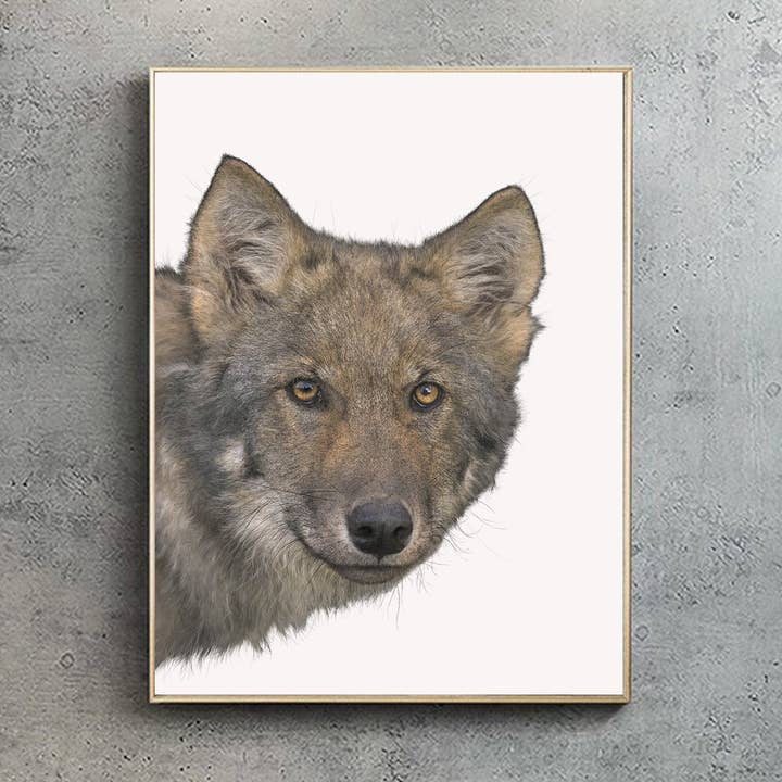 Coastal Wolf - A2/A1 Print (portrait) for wholesale by Hidden Planet