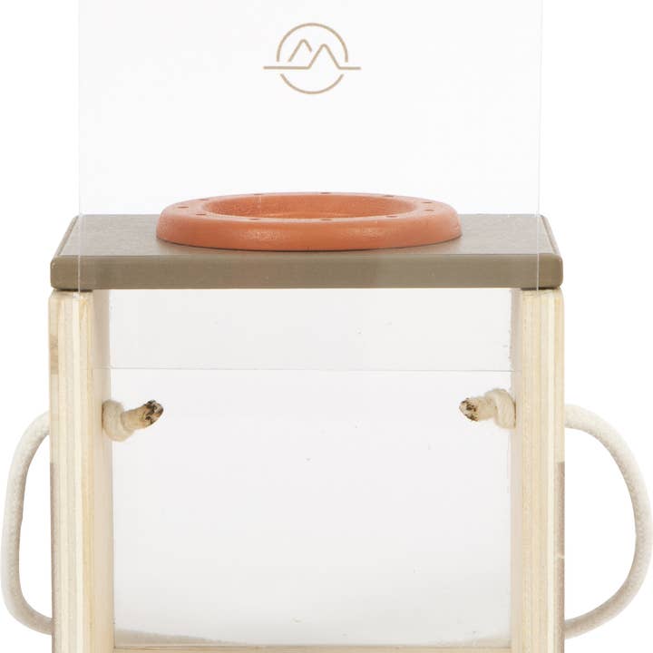small foot - Venta al por mayor Juguete de madera - Niños - Caja para insectos «Discover»
| Juguetes Discovery | Madera
