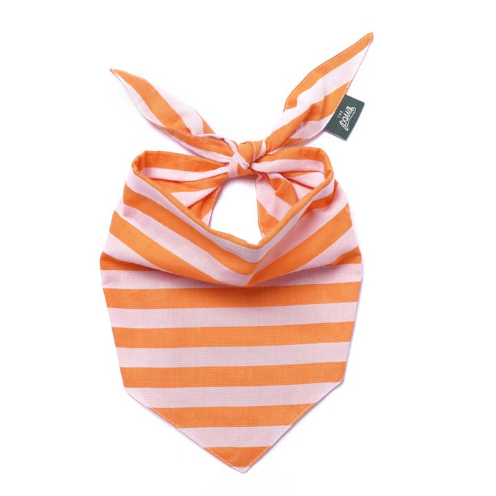 Pañuelo para perro Nusa con rayas horizontales naranja y rosa claro para venta al por mayor de The Paws