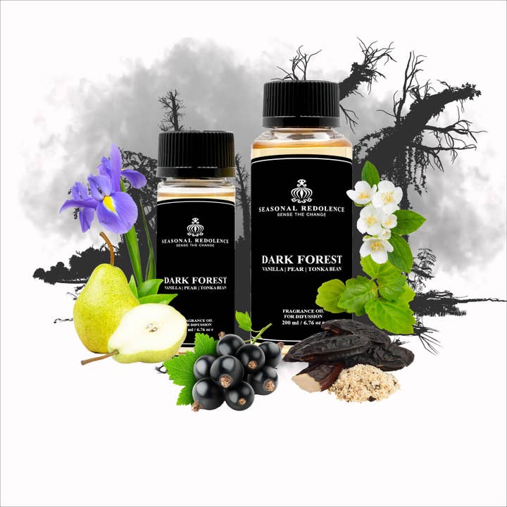 Dark Forest Luxury Home Oil Diffuser Scent for wholesale by Seasonal Redolence