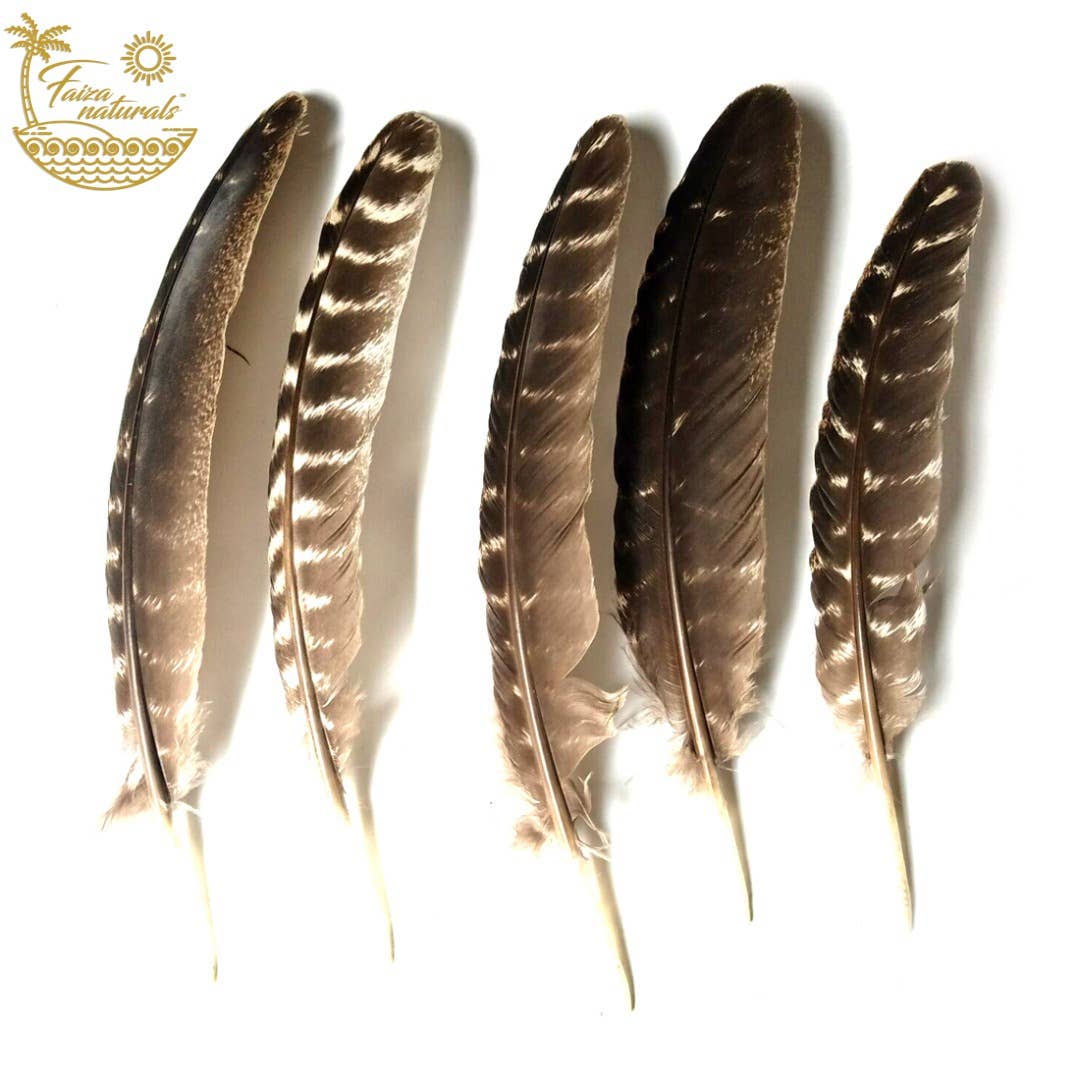 Faiza Naturals - Wholesale Sage Bundle - Feathers for Smudging3