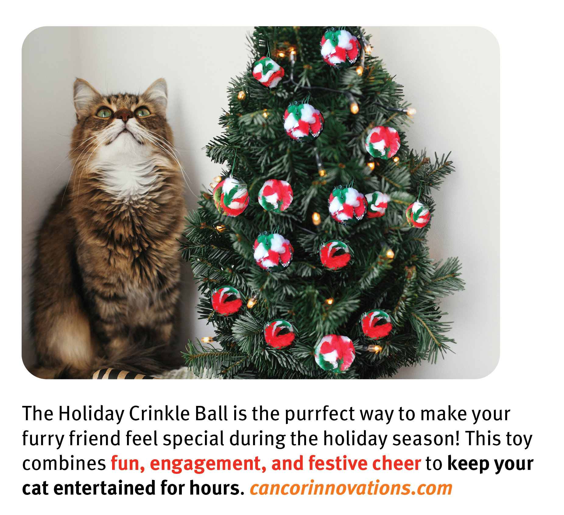 CanCor Innovations Inc. - Wholesale Pet Toy - Cat - Mini Crinkle Ball Holiday Edition2