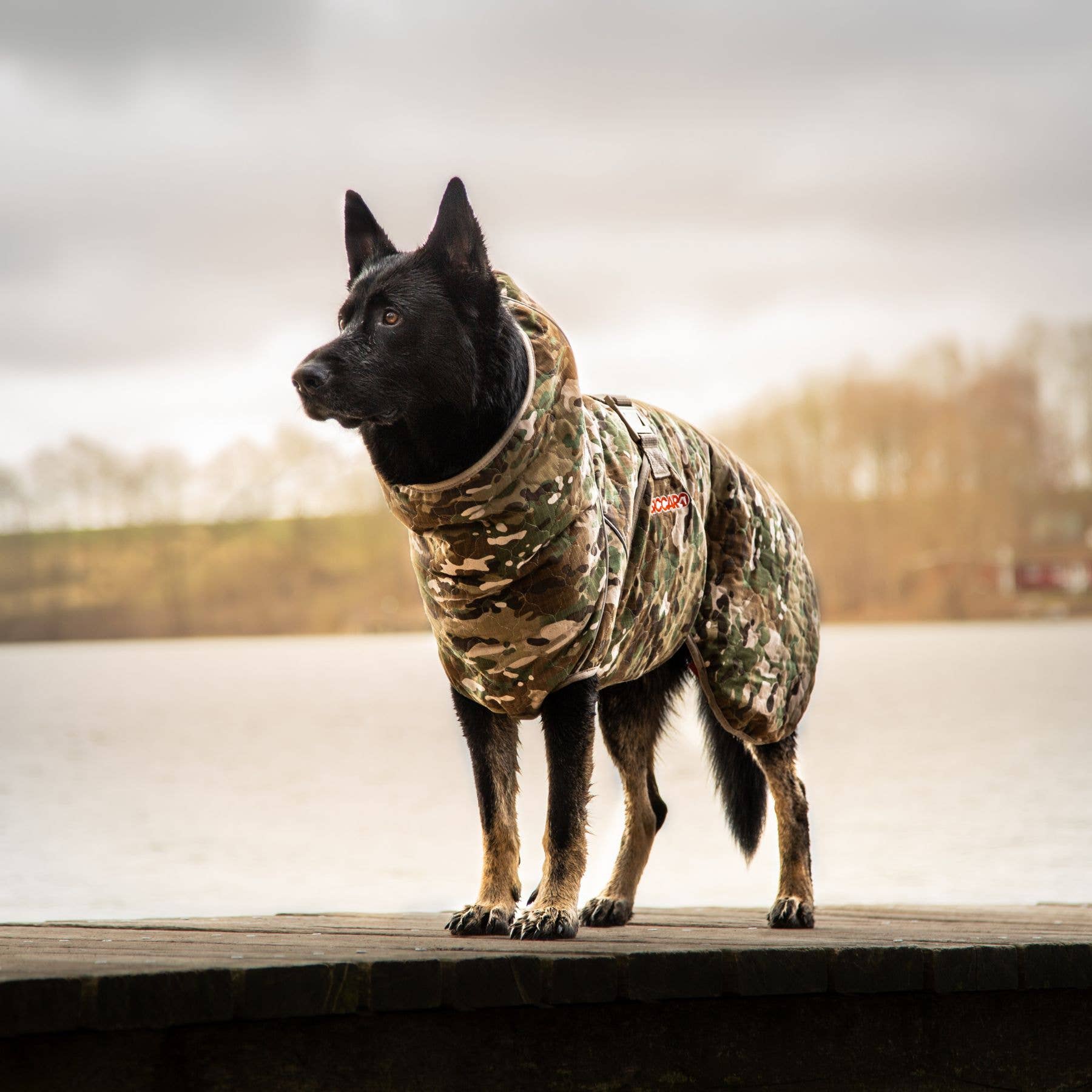 New Camo Spirit 2.0 Water-Repellent Dog Coat for wholesale on Faire2