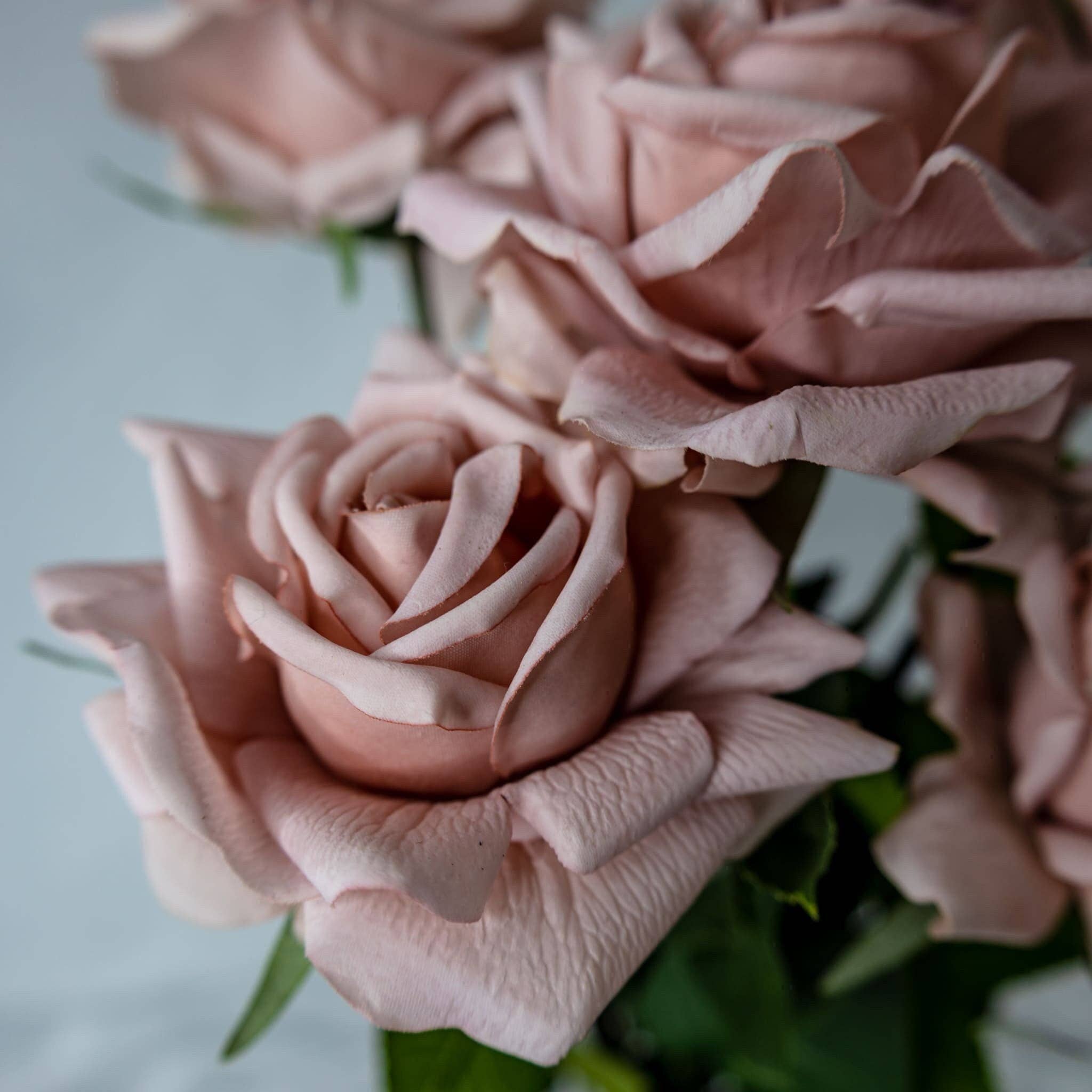 Realistic Artificial Flowers - Wholesale Artificial flowers - Dusty Pink Rose Real Touch Full Bloom - Realistic Artificial4