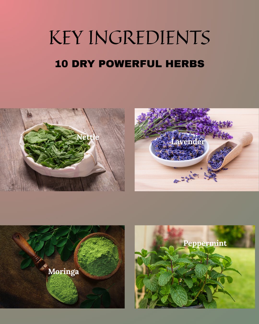 Queen's Abundance Krown - Wholesale Hair Oil - Nourishing Growth Rosemary Hair Oil | Strengthen, Hydrate & Promote Healthy Hair 4oz3