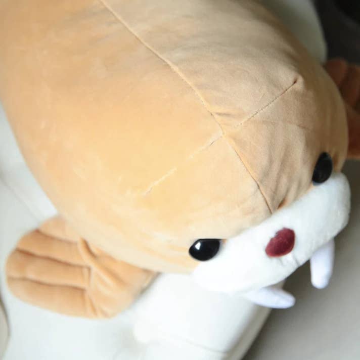 ToyalFriends - Wholesale Stuffed/Plush Toy - Kids & Baby - Walrus Animal Cuddly Soft Toy