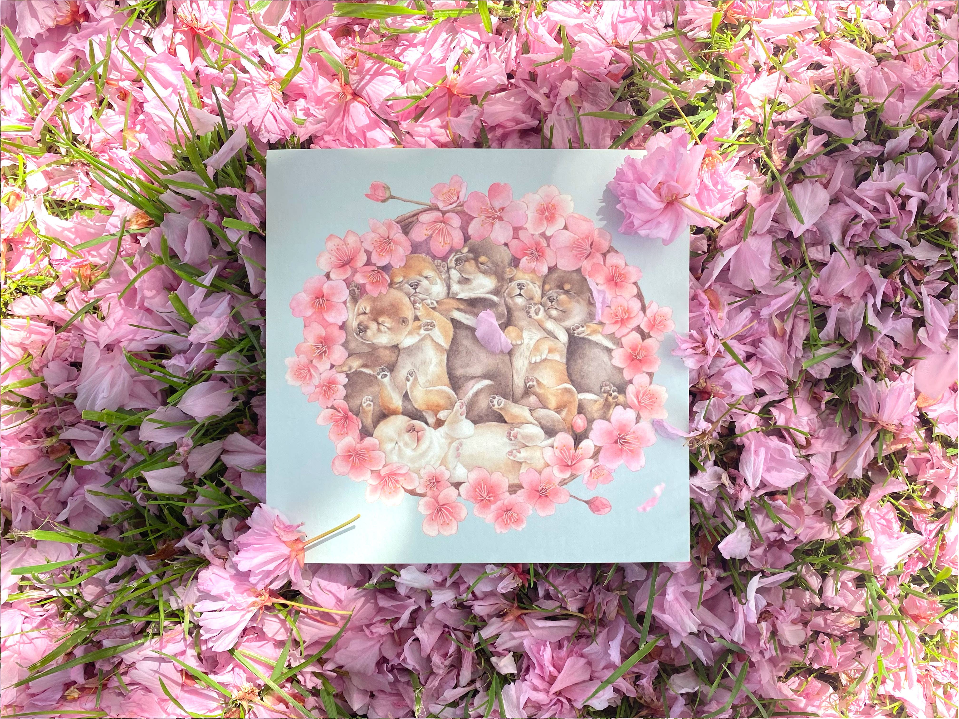 Shiso Paper - Wholesale Art Print - Shiba Inu Puppy Hanami Art Print