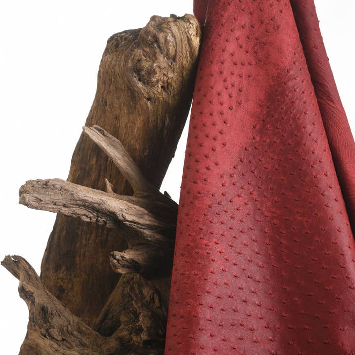 Ruby Red Ostrich Leather for wholesale by MAISON SOLER TANNERIE
