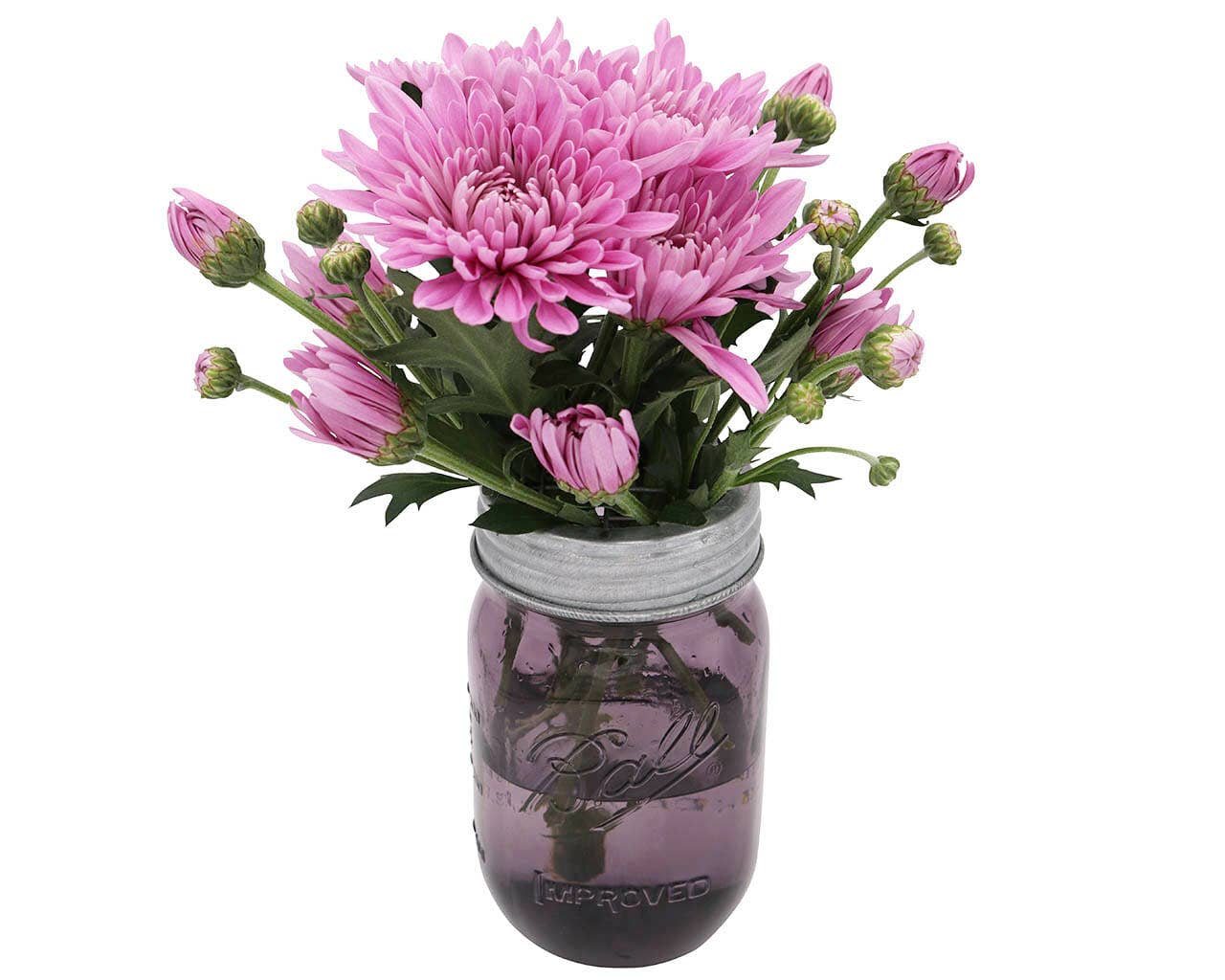 Mason Jar Lifestyle - Wholesale Jar - Galvanized Metal Flower Organizer Frog Lid for Mason Jars6