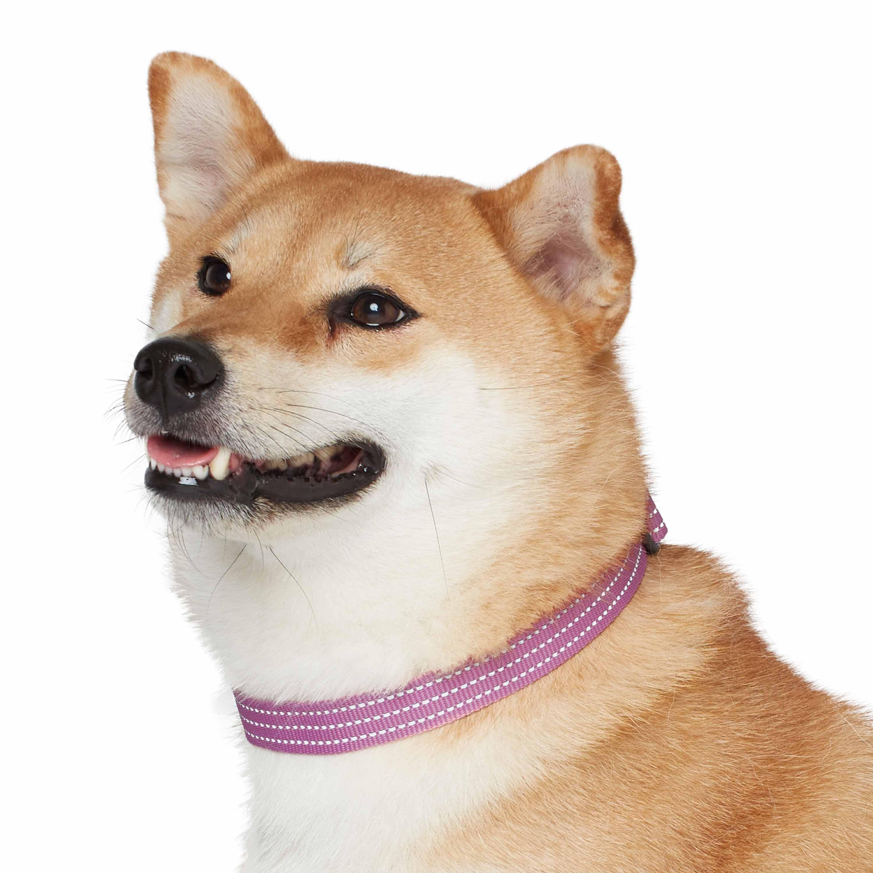 Blueberry Pet - Venta al por mayor Collar - Perros - Collar reflectante para perros Better Basic en 8 colores15