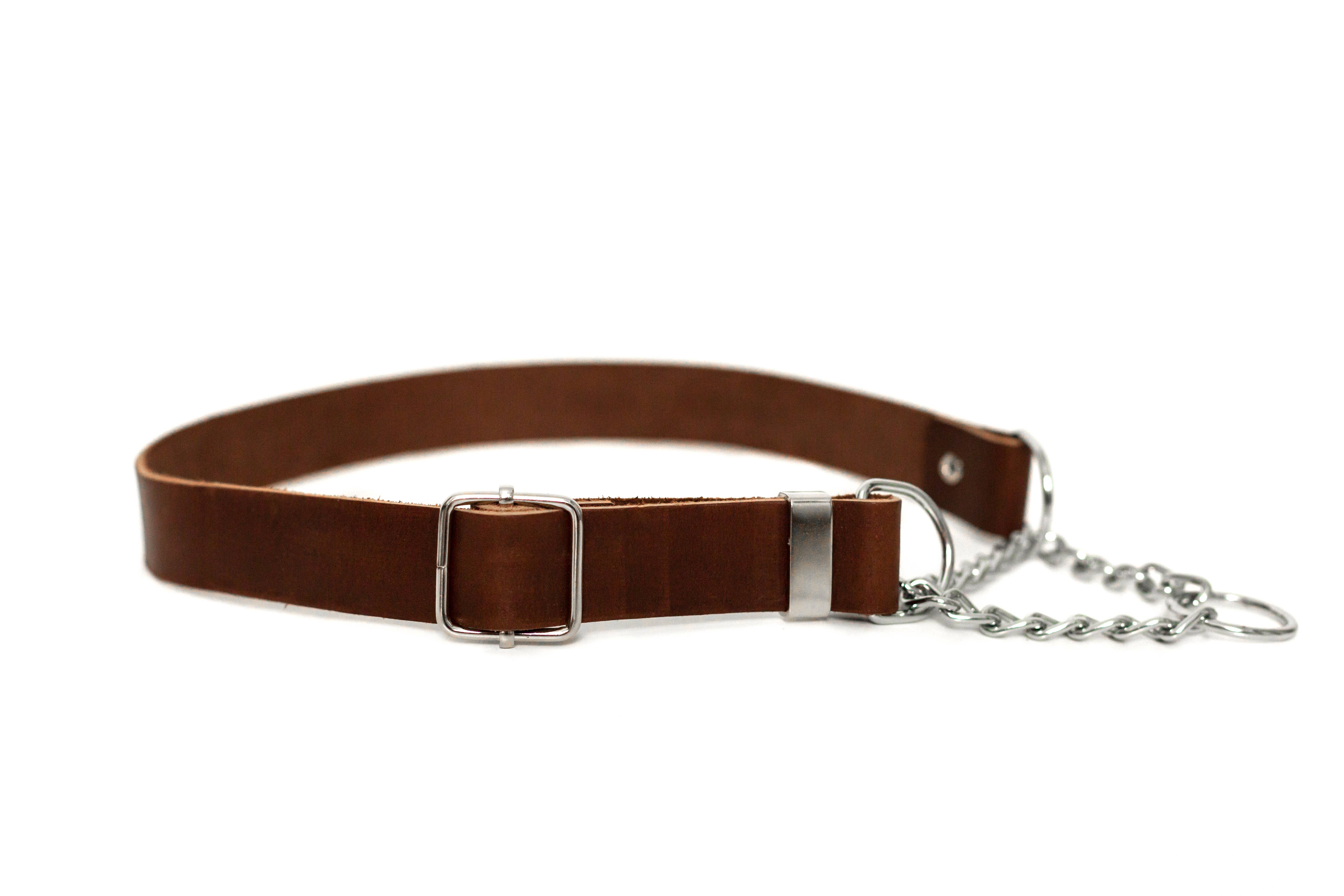 Euro-Dog Collars and Leads - Wholesale Pet Collar - Dog - Leather Dog Collar Martingale Soft Modern Style5