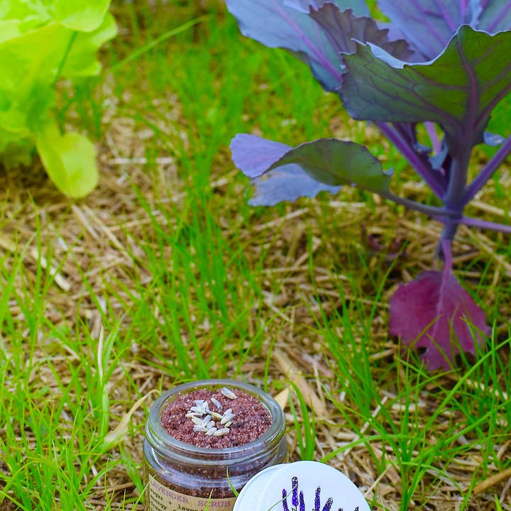 Plant Makeup - Wholesale Body scrub/exfoliant - Lavender Scrub3