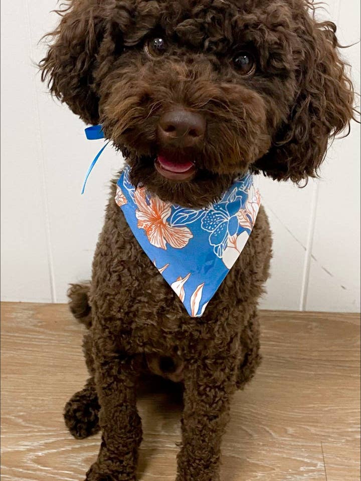 Hibiscus Kiss Doggy Bandana for wholesale by Carra Lee Active