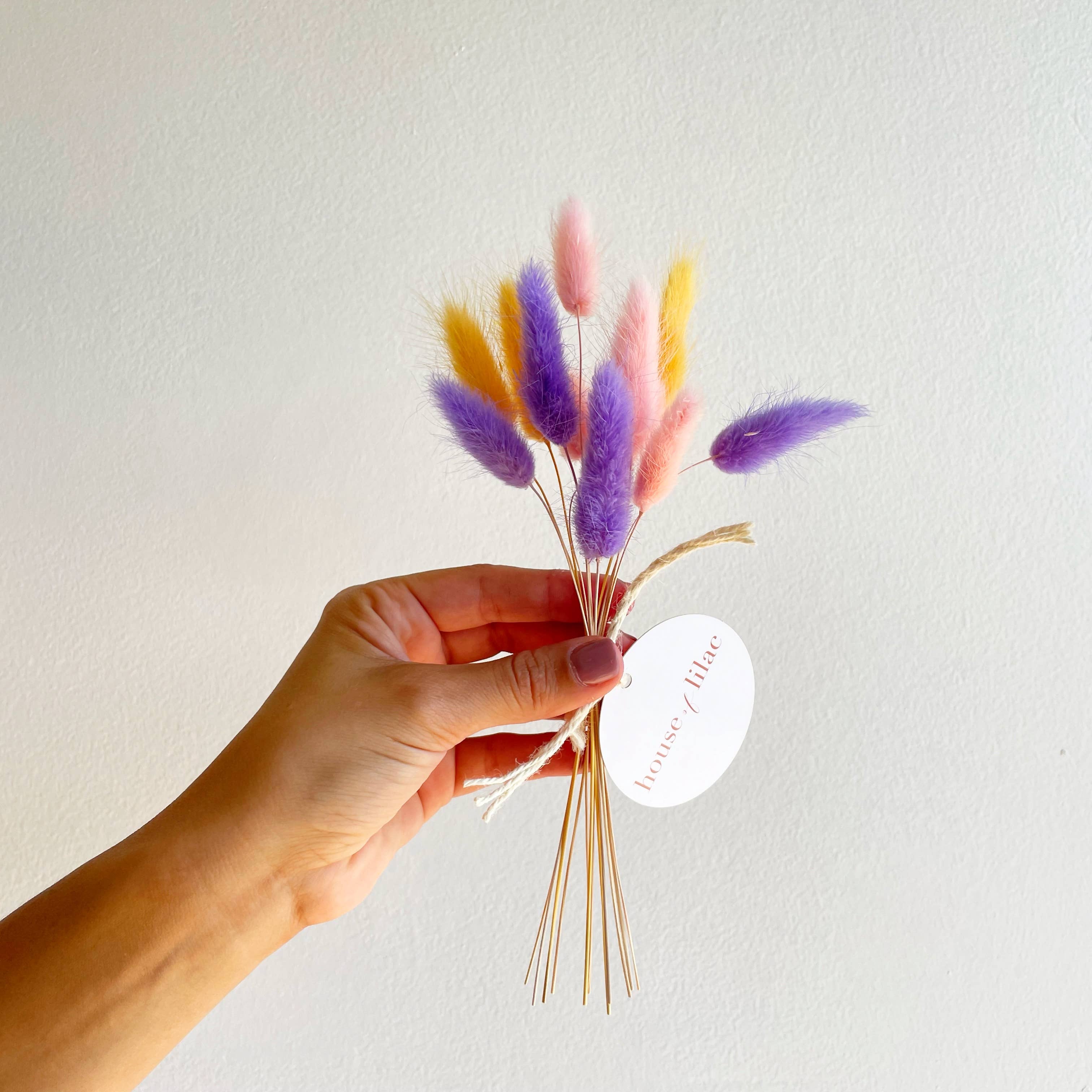 House of Lilac – Engroshandel Tørrede/pressede blomster – Buketter med tørrede bunny tail blomster2