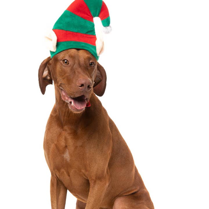 Elf Hat and other Purchase wholesale light up santa hats. Free returns & net 60 terms on Faire trending on Faire.