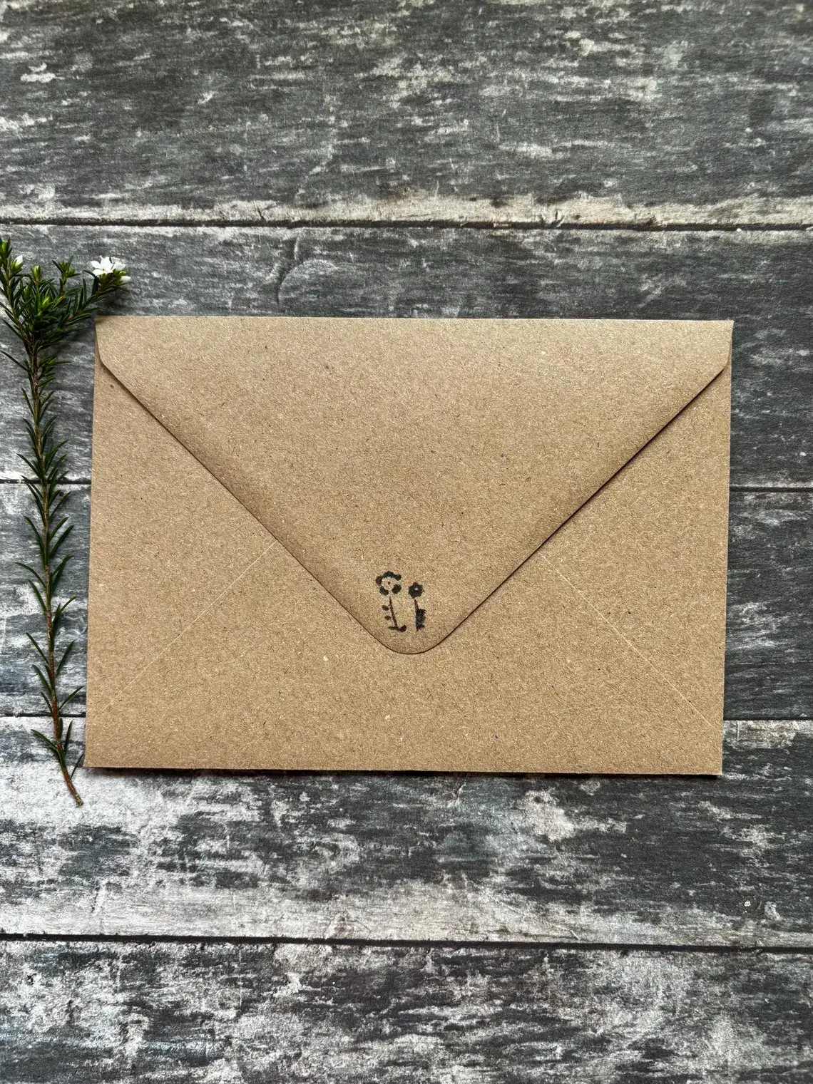 Erika's Whimsical Art – wholesale Birthday card – Plantable  Seed Paper Birthday Moth Card, Blank Inside 9