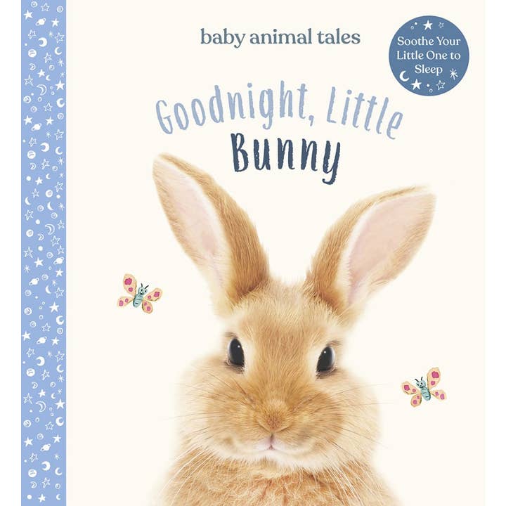 Abrams - Wholesale Baby & Toddler Book (0-2) - Goodnight, Little Bunny