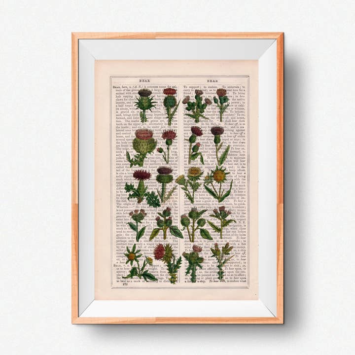 Cardoon kollektion Botanisk tryk for engroshandel hos PRRINT!