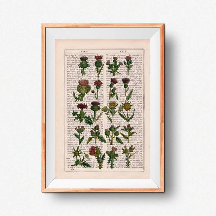 Coleção Cardoon Botanical Print por atacado de PRRINT!