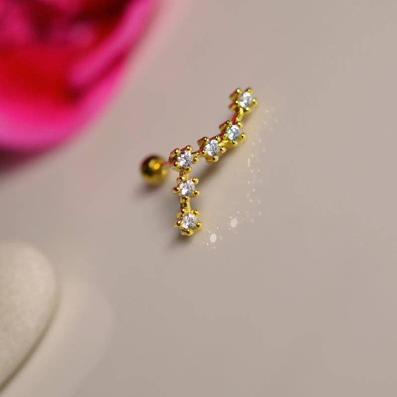 StockJWL - Wholesale Stud/Post Earrings - 12 Zodiac Earrings, Constellation Stud Earring Stud Piercing Tragus Helix Lobe and Cartilage Silver And Gold68