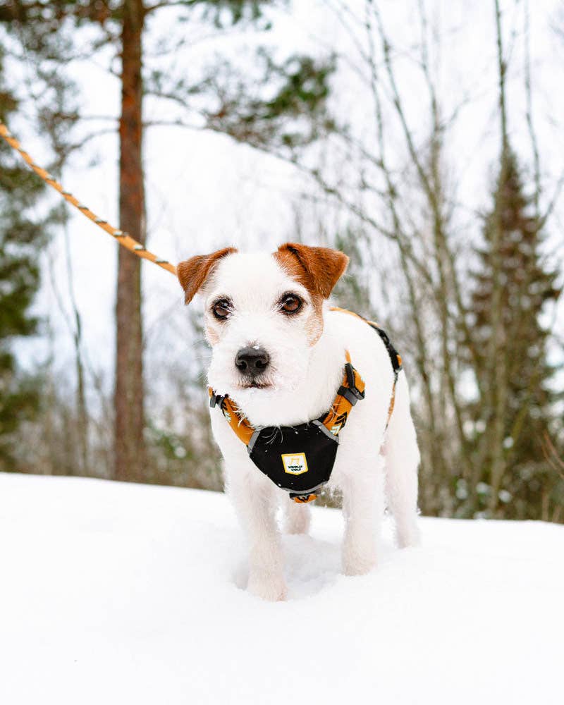 Woolly Wolf – Großhandel Haustiergeschirr – Hund – Sea to Summit Hundegeschirr aus recyceltem RPET10