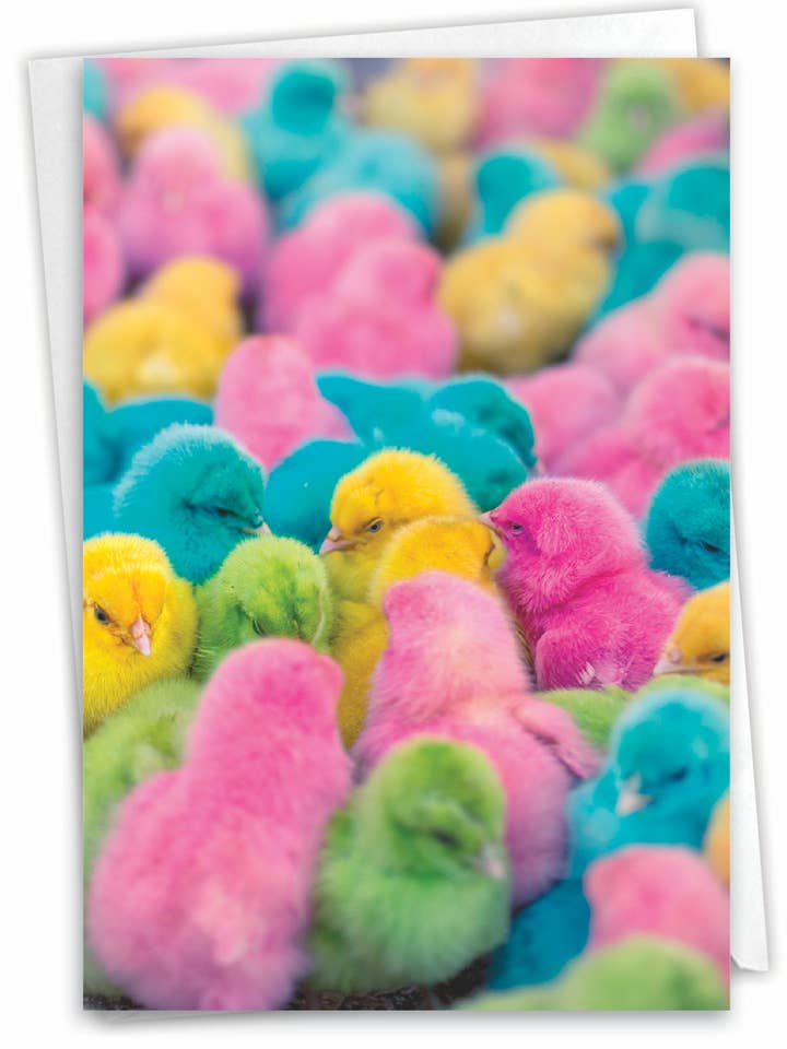 Biglietto di Pasqua - Pulcini colorati per la vendita all'ingrosso da parte di NobleWorks