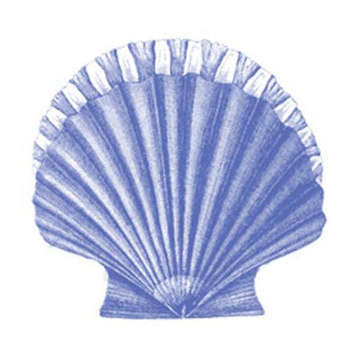 Shell for wholesale by Bien Ecrit