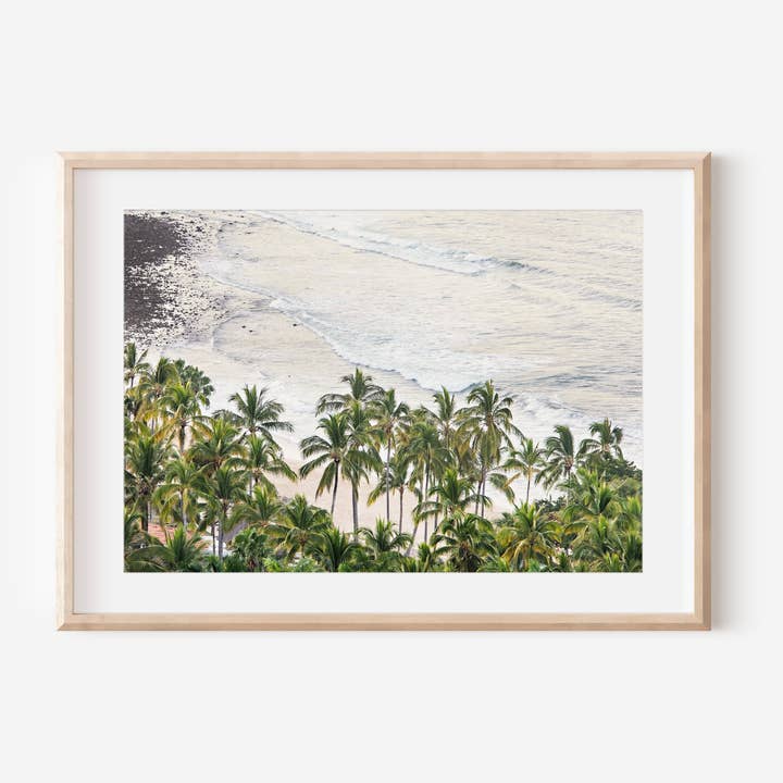 Aerial Palm Trees Horizontal Print for wholesale by 17 Mile