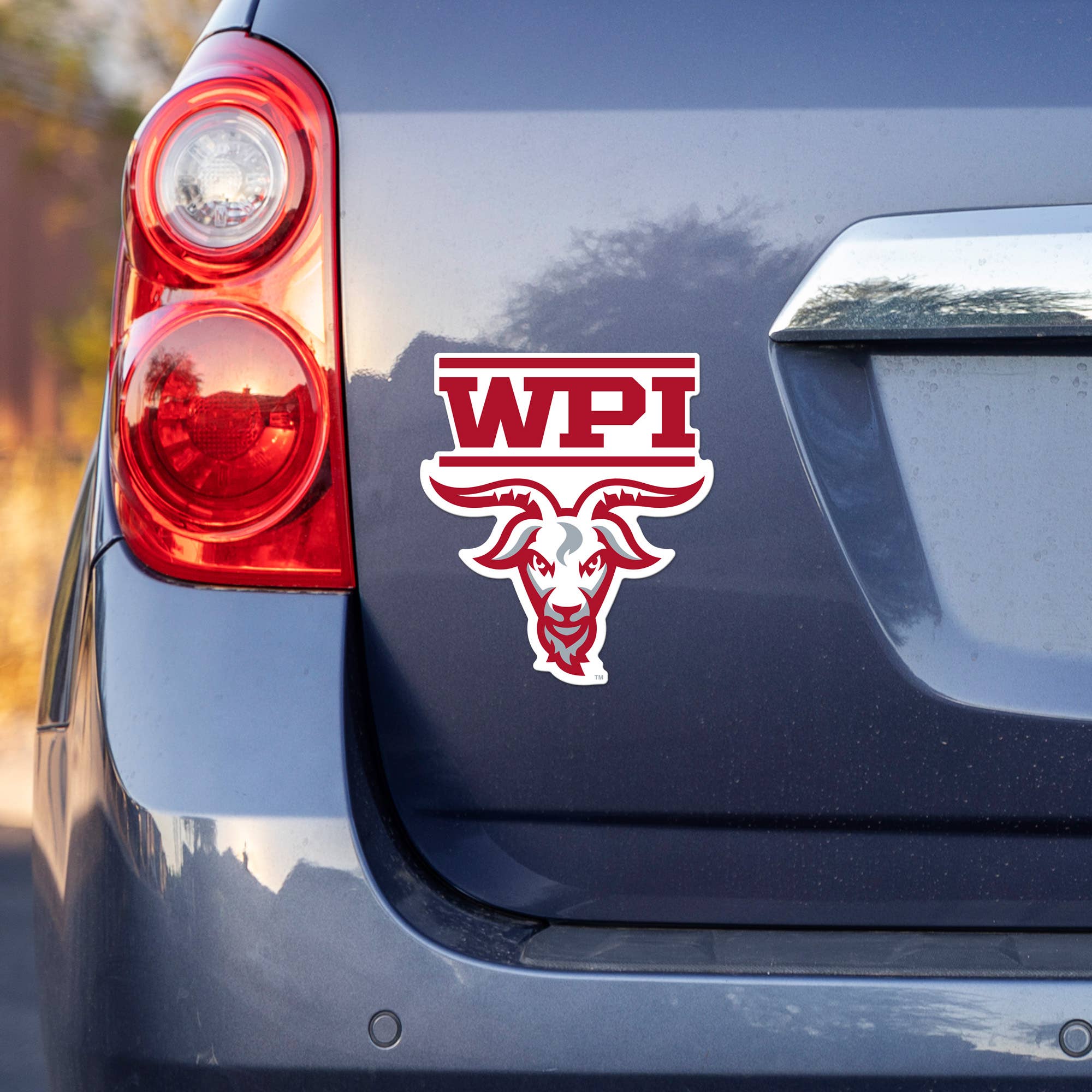 Rico Industries - Wholesale Car Decorative Charm - Unisex - NCAA  Worcester Poly Engineers  Medium Die Cut Decal1